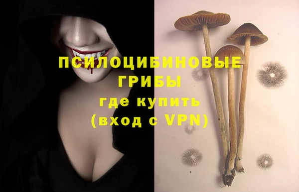 кокаин Алексин