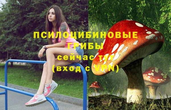 кокаин Алексин