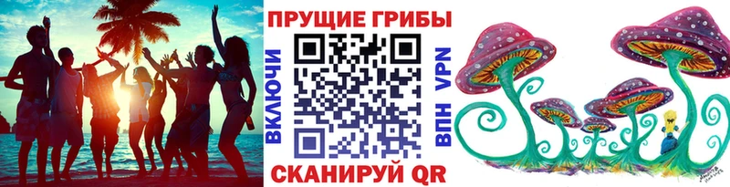 Псилоцибиновые грибы ЛСД  ссылка на мегу маркетплейс  Биробиджан 